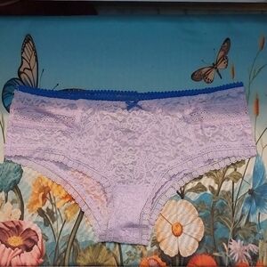 Lavender And Blue Lace Aerie Cheeky Panty